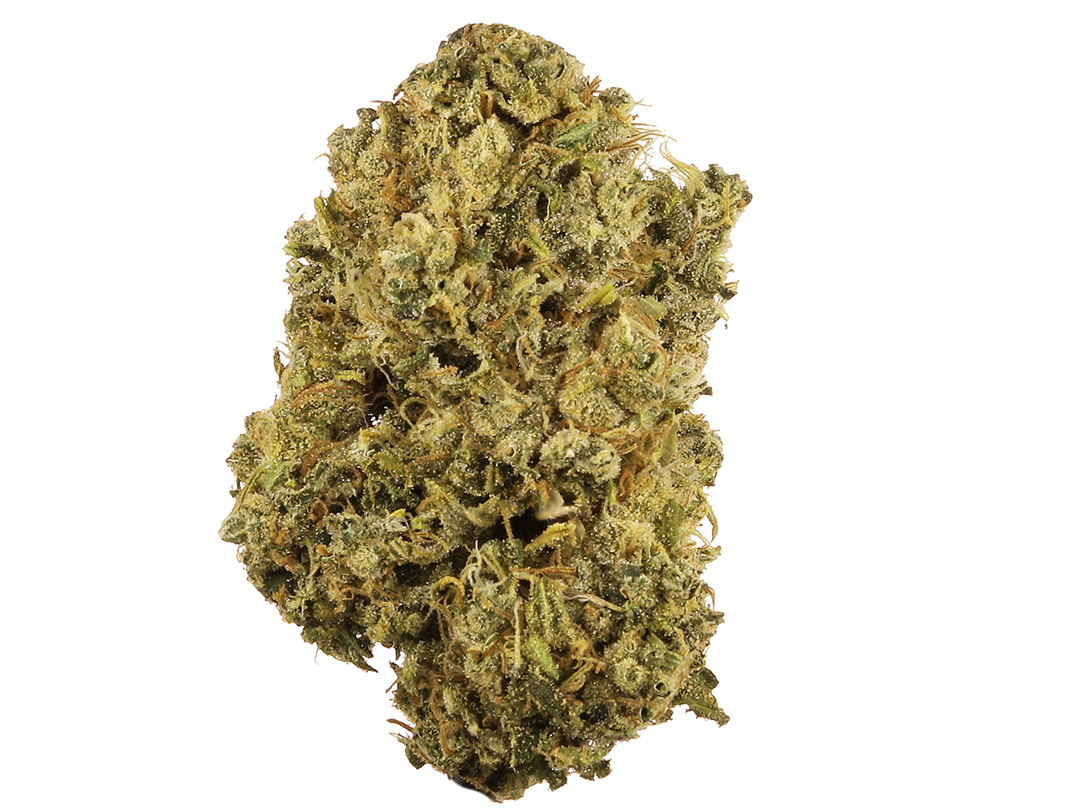 Durban Poison strain