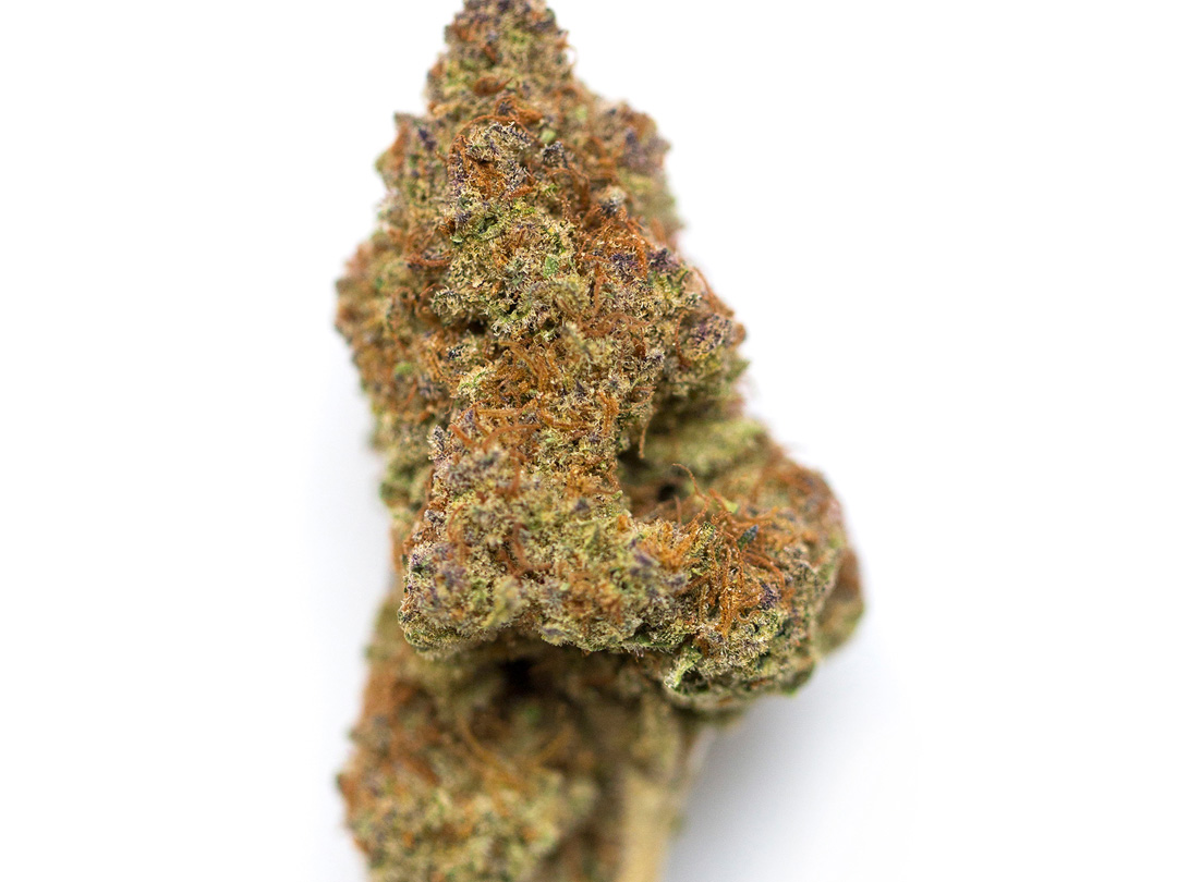 Ghost Train Haze strain